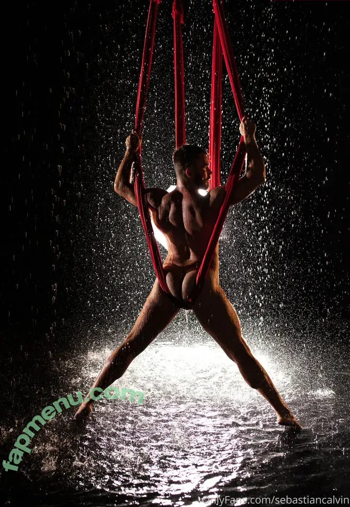 sebastiancalvin nude photo #0003 (seabassouttawater)