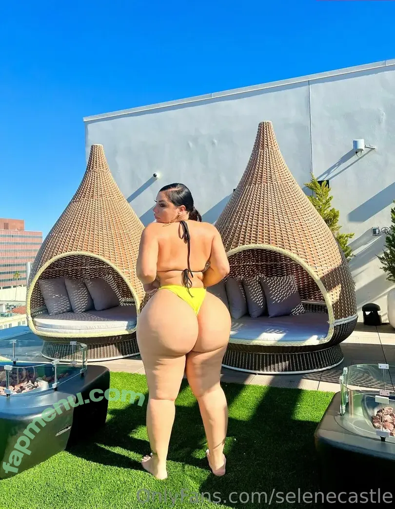Selenecastle nude photo #0021 (iamselenecastle)