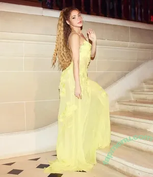 Shakira / shakkira nude photo #1371