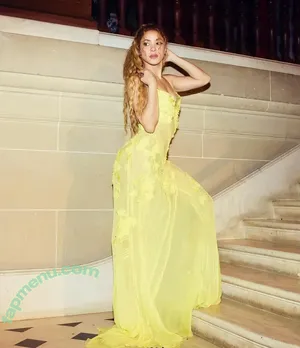 Shakira / shakkira nude photo #1376