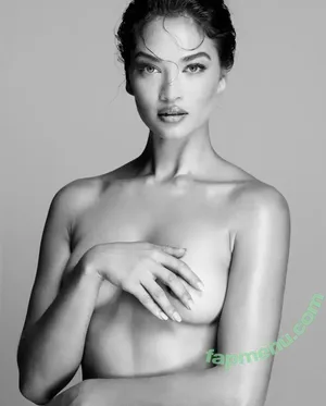Shanina Shaik / shaninamshaik nude photo #0147