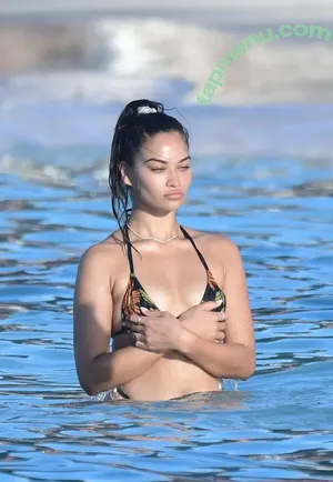 Shanina Shaik / shaninamshaik nude photo #0214
