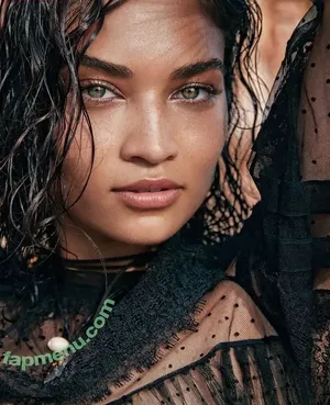 Shanina Shaik / shaninamshaik nude photo #0282