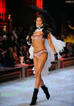 Shanina Shaik / shaninamshaik nude photo #0452