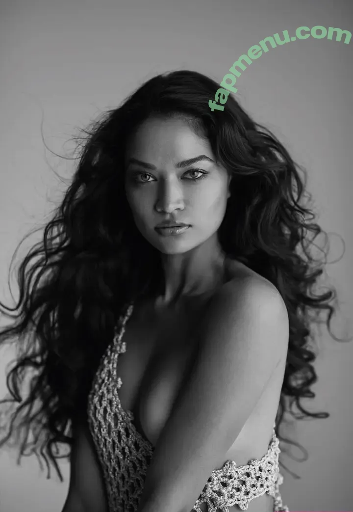 Shanina Shaik nude photo #0108 (shaninamshaik)
