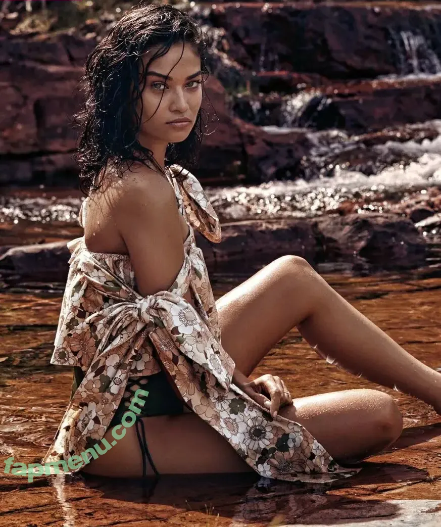 Shanina Shaik nude photo #0115 (shaninamshaik)