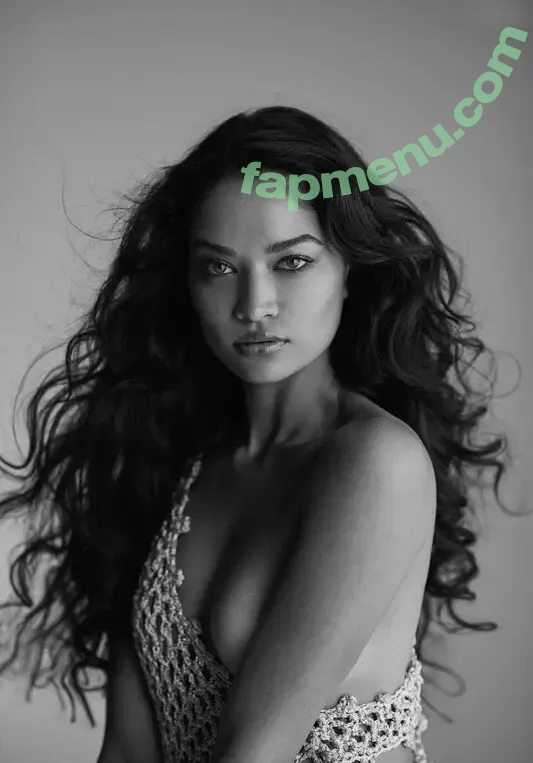 Shanina Shaik nude photo #0149 (shaninamshaik)