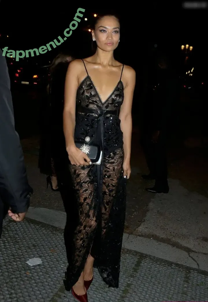 Shanina Shaik nude photo #0434 (shaninamshaik)