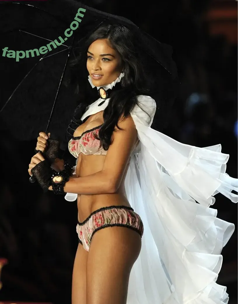 Shanina Shaik nude photo #0449 (shaninamshaik)