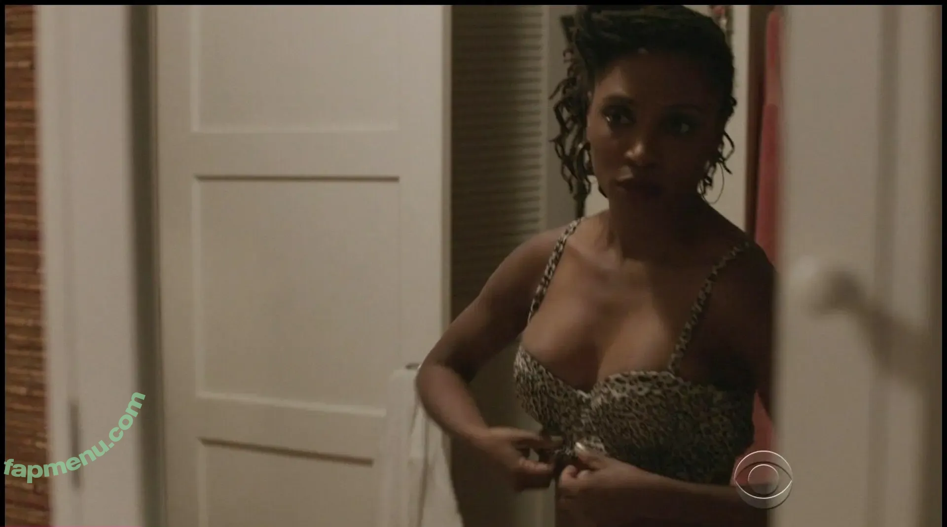 Shanola Hampton nude photo #0030 (shanolahampton)