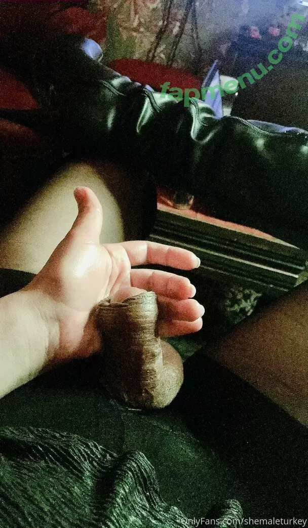 shemaleturkey nude photo #0002 (shemaleturkey)