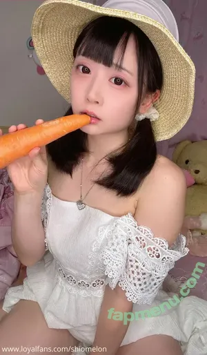 Shiomelon / SioMelonpan / moshimelon nude photo #0963