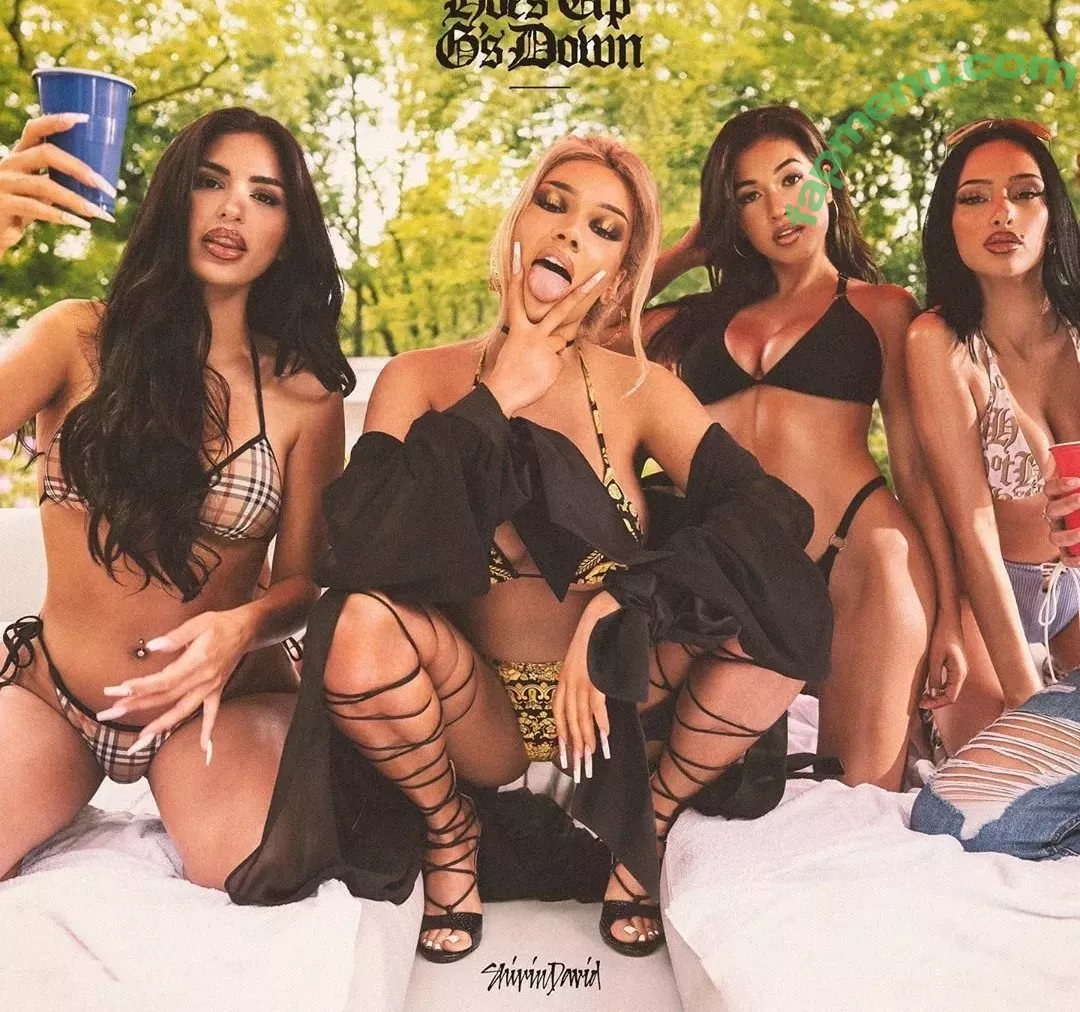 Shirin David nude photo #0004 (shirindavid)