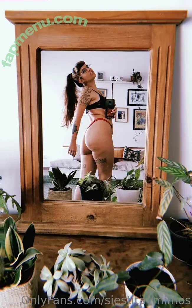 siestitaymimos nude photo #0022 (siestitaymimos)