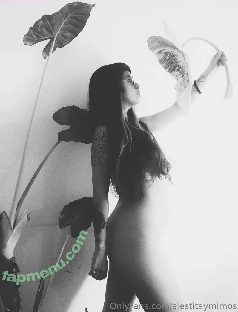 siestitaymimos nude photo #0028 (siestitaymimos)