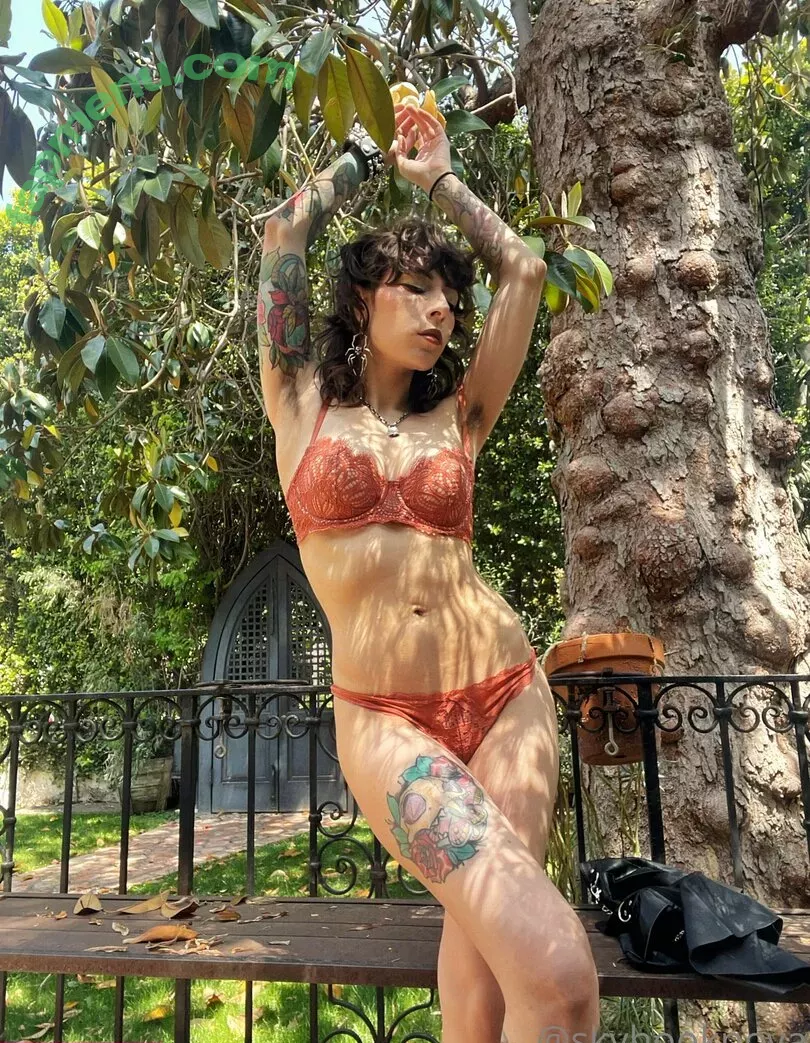 Skyhook Nova nude photo #0843 (SkyhookArt / skyhookarts / skyhooknova)