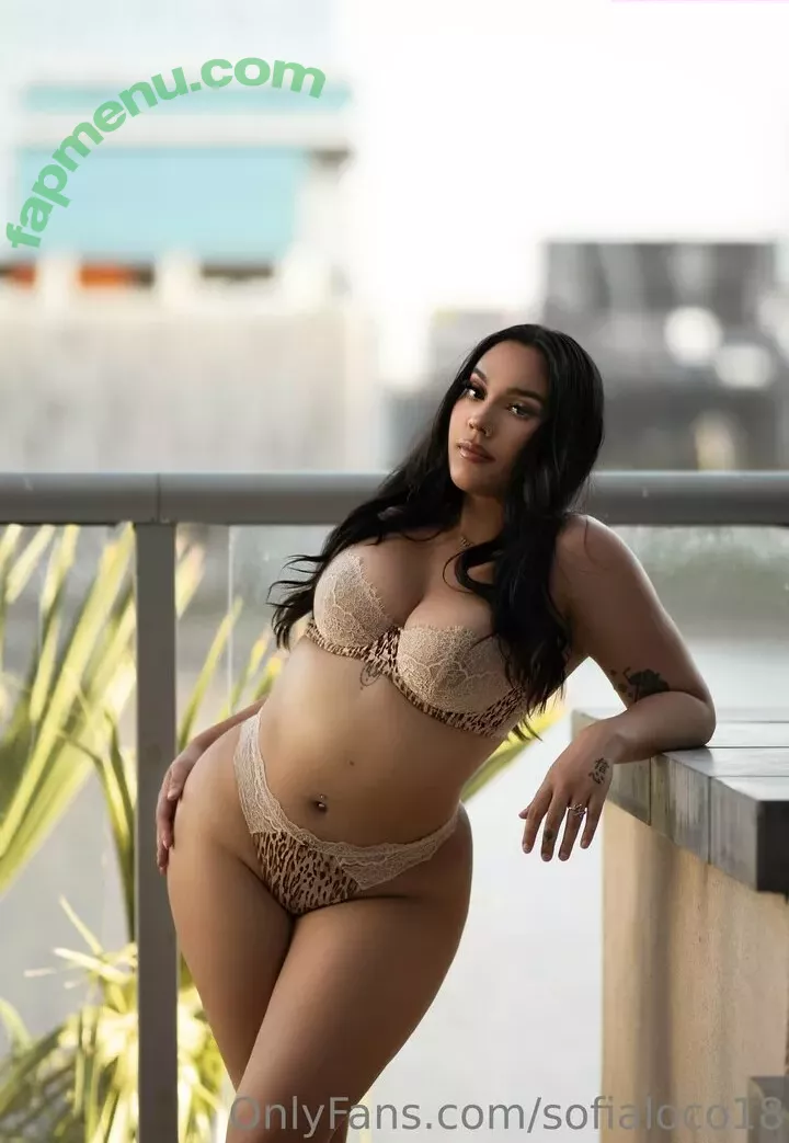 sofialoco18 nude photo #0046 (sofyloco)