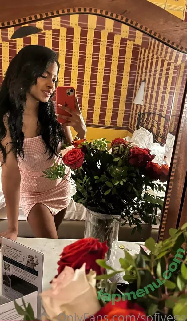 Sofivega nude photo #0154 (Misssofivega)