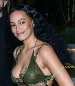 Solange Knowles / solangeknowles nude photo #0042