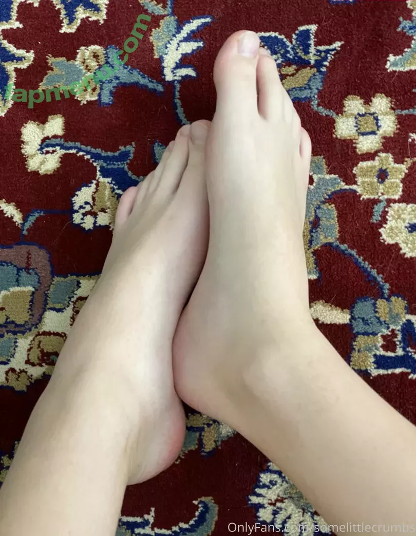 somelittlecrumbs nude photo #0034 (therealtsmadison)