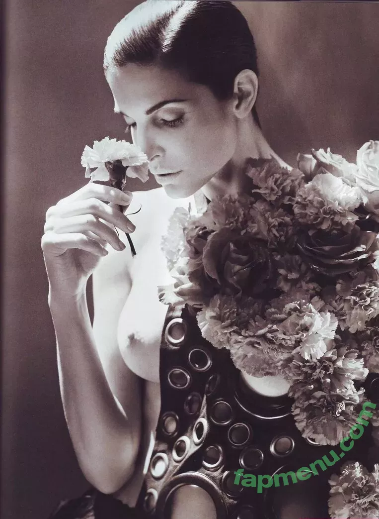Stephanie Seymour nude photo #0001 (stephanieseymour)