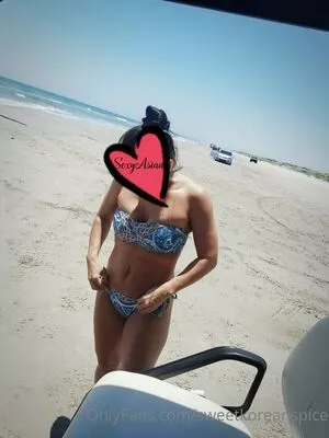 sweetkoreanspice / sjpye79 nude photo #0202
