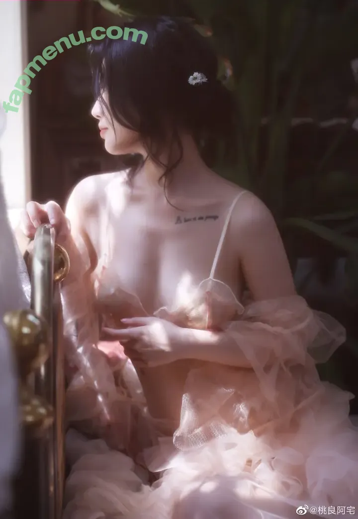 Taoliangazhai nude photo #0243 (桃良阿宅)