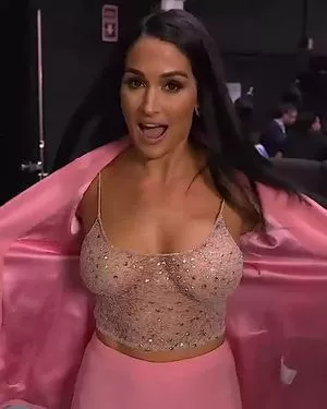 The Bella Twins: / Nikki Bella & Brie Bella / thenikkibella nude photo #0007