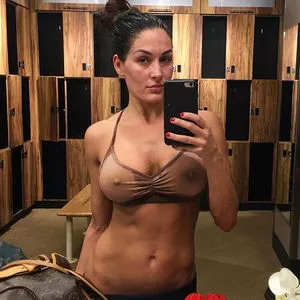 The Bella Twins: / Nikki Bella & Brie Bella / thenikkibella nude photo #0008