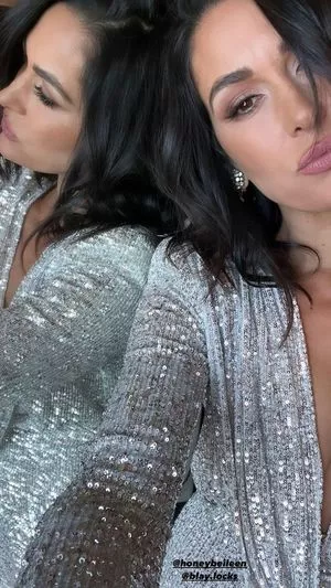 The Bella Twins: / Nikki Bella & Brie Bella / thenikkibella nude photo #0017