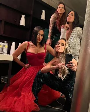 The Bella Twins: / Nikki Bella & Brie Bella / thenikkibella nude photo #0027