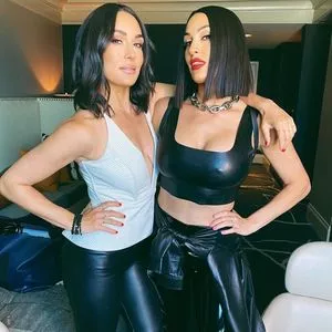 The Bella Twins: / Nikki Bella & Brie Bella / thenikkibella nude photo #0029