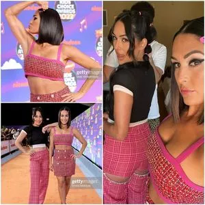 The Bella Twins: / Nikki Bella & Brie Bella / thenikkibella nude photo #0037