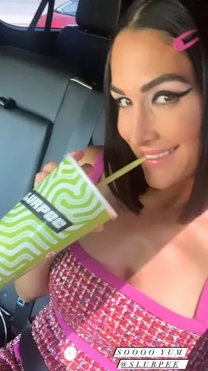 The Bella Twins: / Nikki Bella & Brie Bella / thenikkibella nude photo #0039