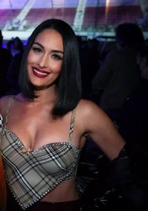 The Bella Twins: / Nikki Bella & Brie Bella / thenikkibella nude photo #0048