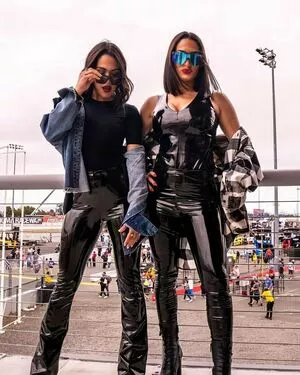 The Bella Twins: / Nikki Bella & Brie Bella / thenikkibella nude photo #0080