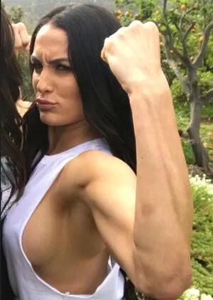 The Bella Twins: / Nikki Bella & Brie Bella / thenikkibella nude photo #0084