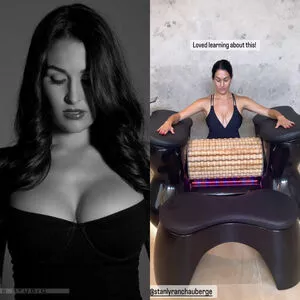The Bella Twins: / Nikki Bella & Brie Bella / thenikkibella nude photo #0103