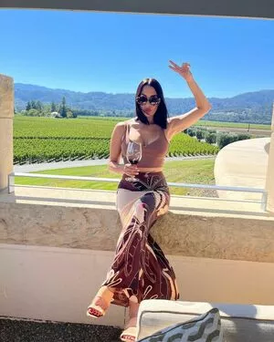 The Bella Twins: / Nikki Bella & Brie Bella / thenikkibella nude photo #0122