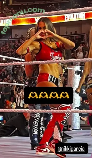 The Bella Twins: / Nikki Bella & Brie Bella / thenikkibella nude photo #0706