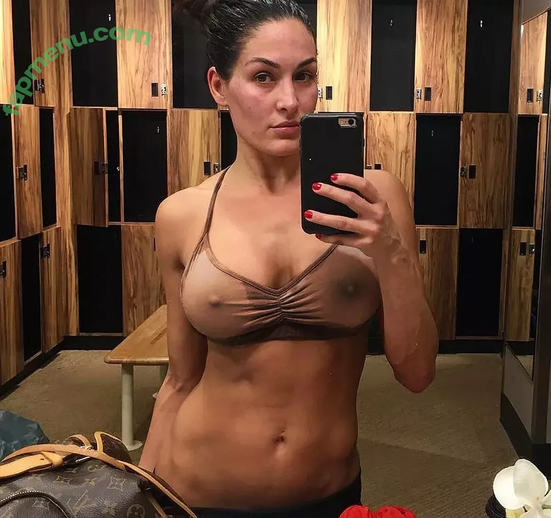 The Bella Twins: nude photo #0008 (Nikki Bella & Brie Bella / thenikkibella)