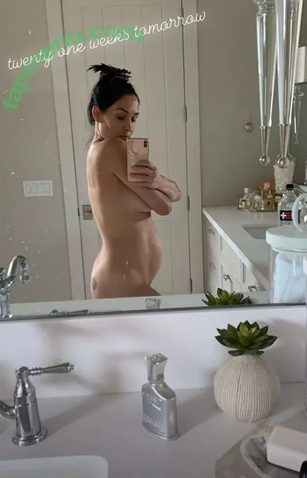 The Bella Twins: nude photo #0010 (Nikki Bella & Brie Bella / thenikkibella)