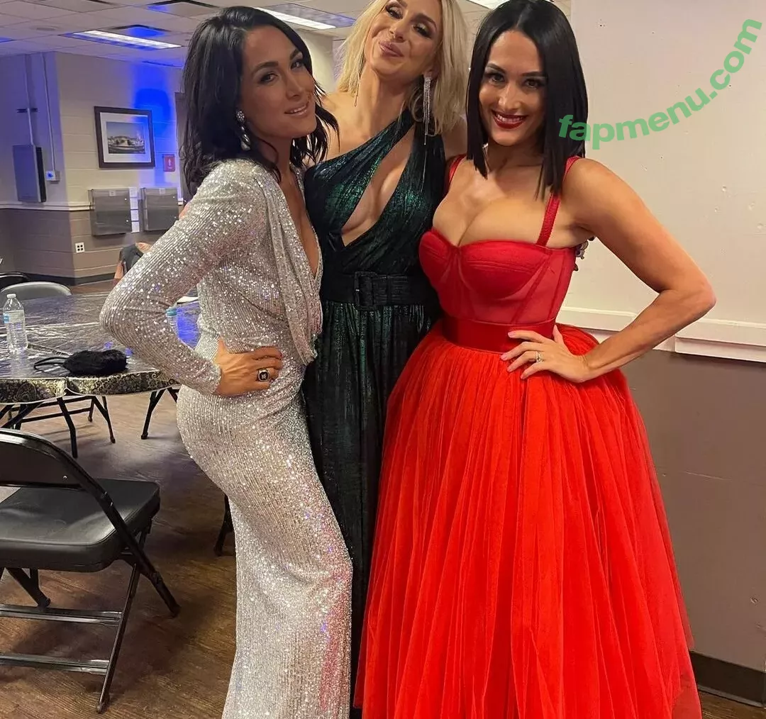 The Bella Twins: nude photo #0025 (Nikki Bella & Brie Bella / thenikkibella)