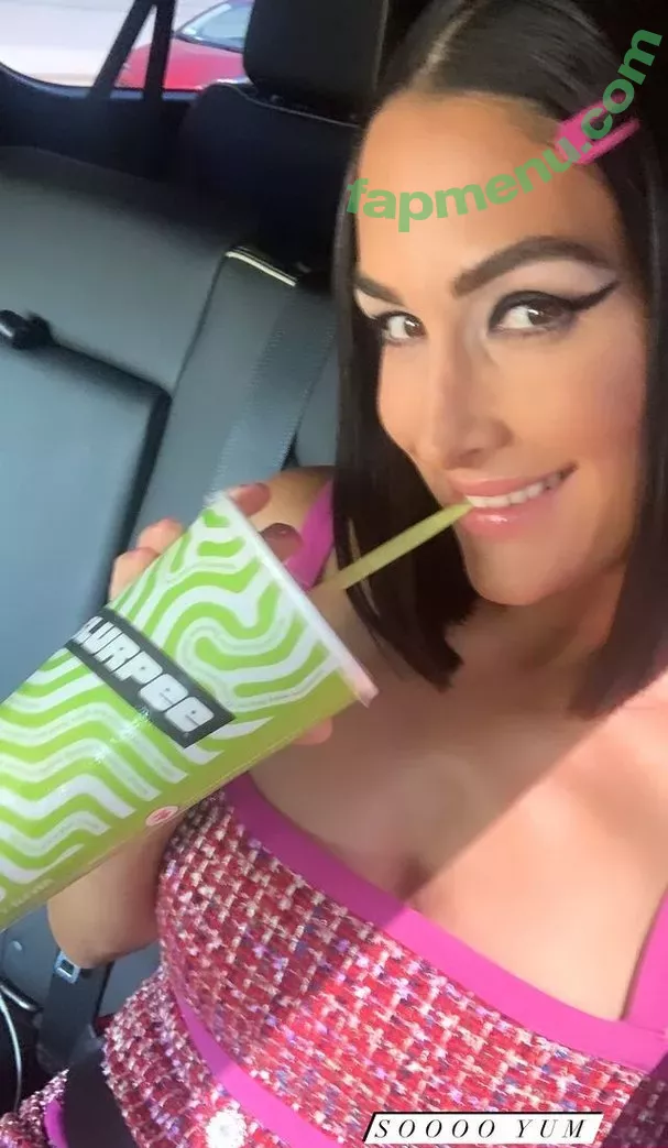 The Bella Twins: nude photo #0039 (Nikki Bella & Brie Bella / thenikkibella)