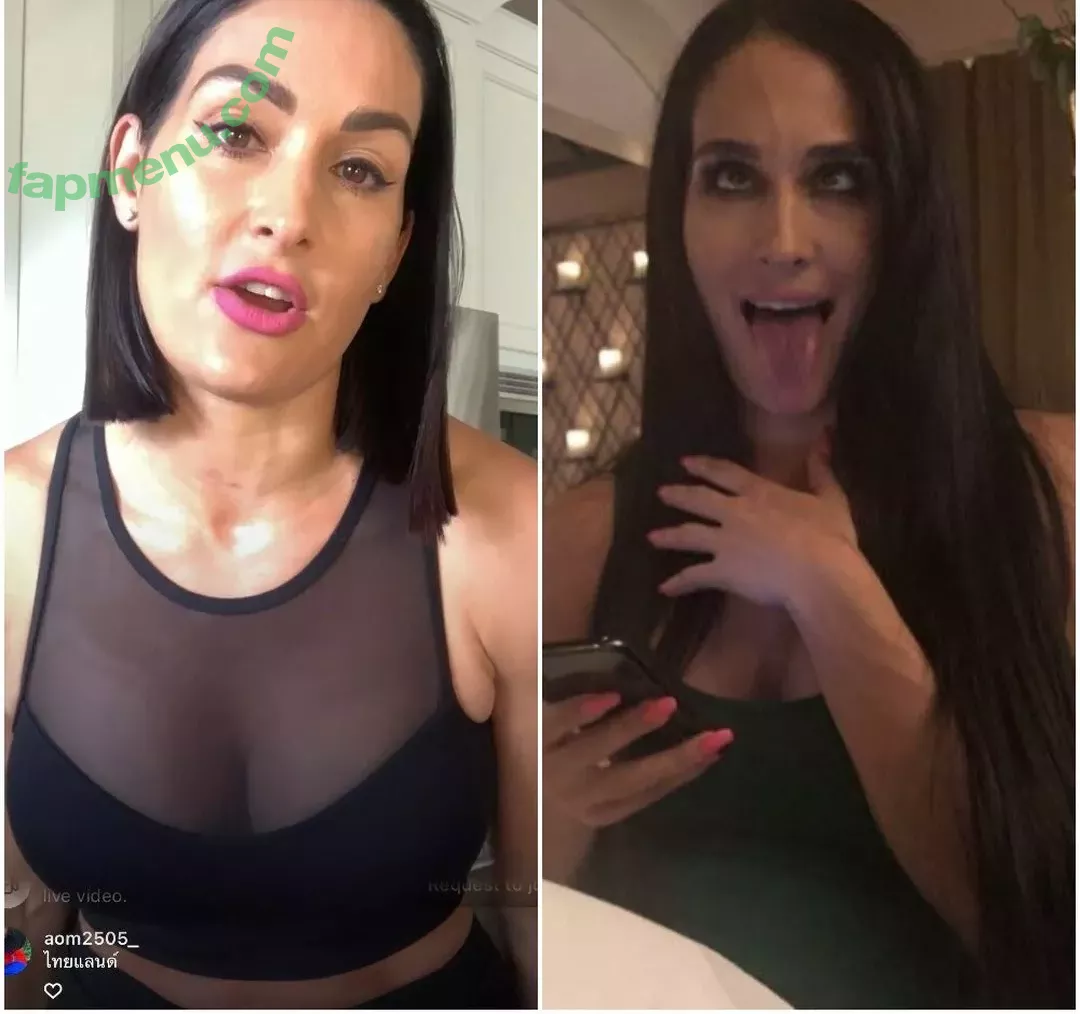 The Bella Twins: nude photo #0042 (Nikki Bella & Brie Bella / thenikkibella)