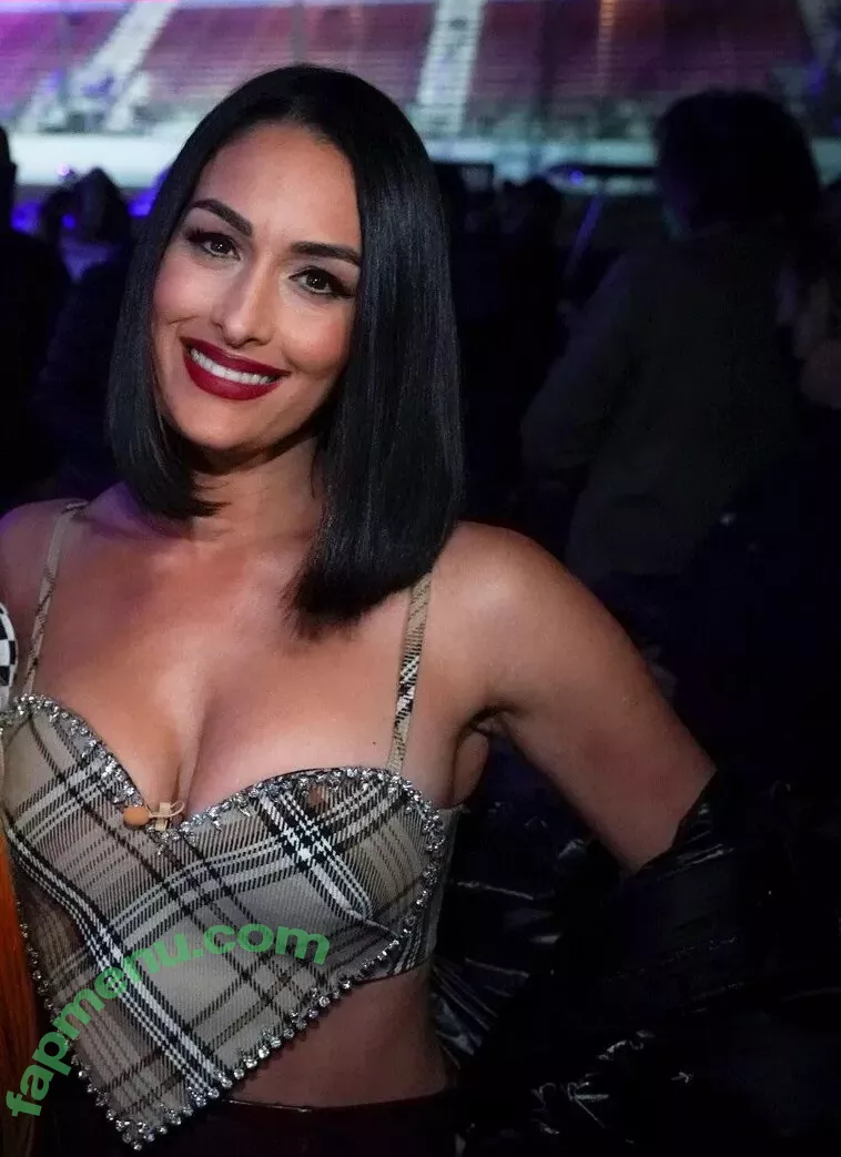 The Bella Twins: nude photo #0048 (Nikki Bella & Brie Bella / thenikkibella)