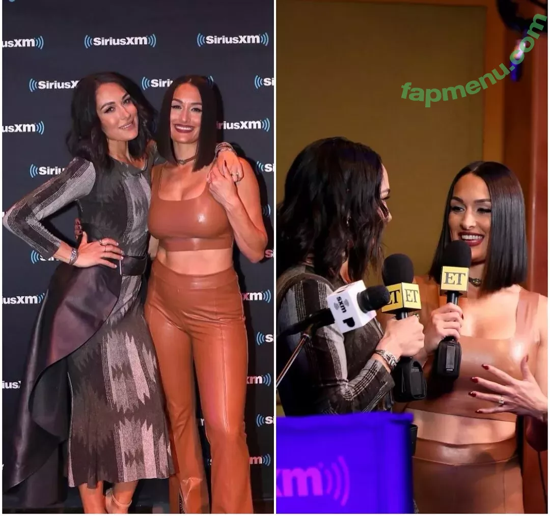 The Bella Twins: nude photo #0051 (Nikki Bella & Brie Bella / thenikkibella)