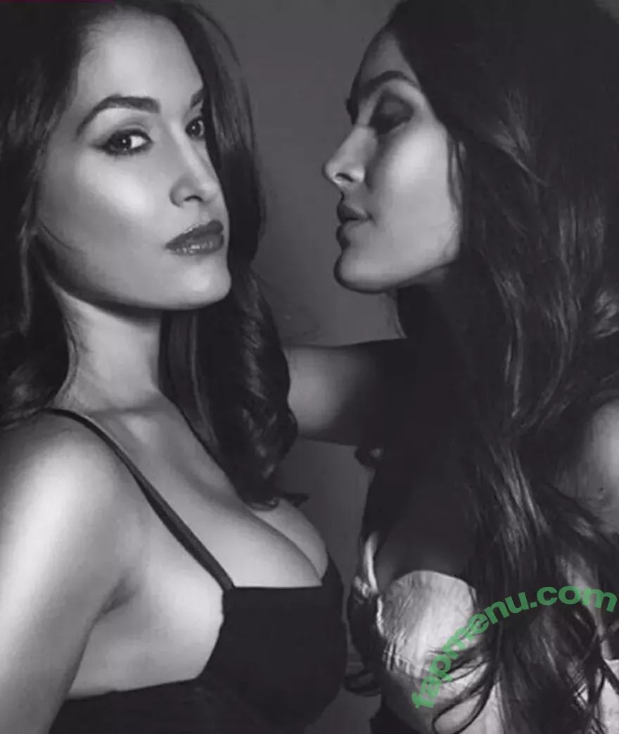 The Bella Twins: nude photo #0055 (Nikki Bella & Brie Bella / thenikkibella)