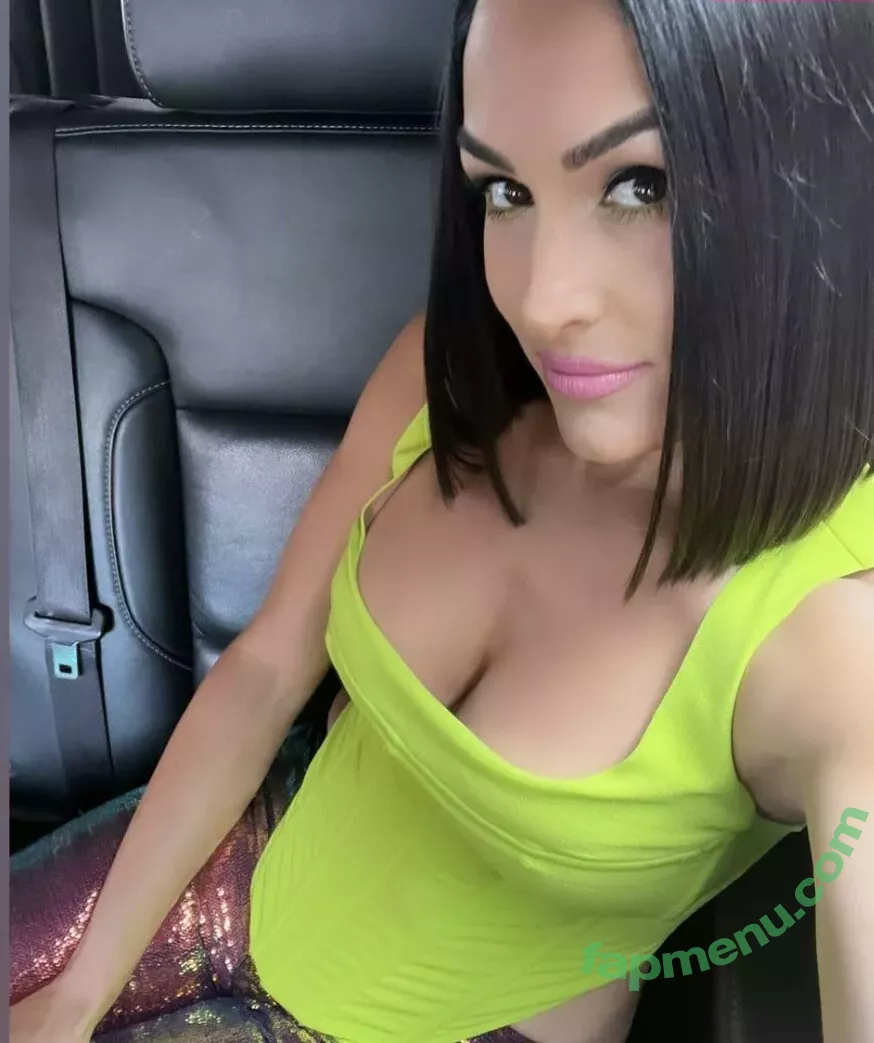 The Bella Twins: nude photo #0059 (Nikki Bella & Brie Bella / thenikkibella)