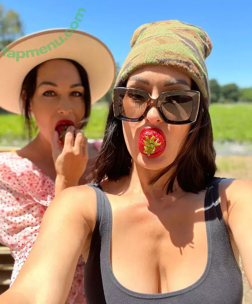 The Bella Twins: nude photo #0061 (Nikki Bella & Brie Bella / thenikkibella)